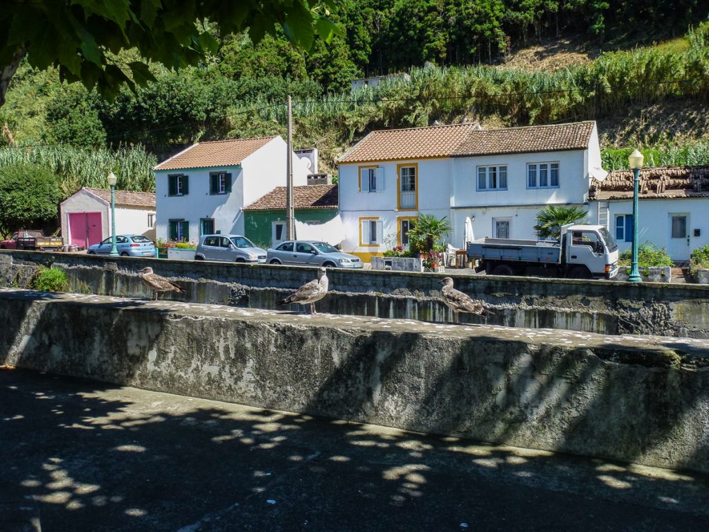 Ribeira Quente Azores