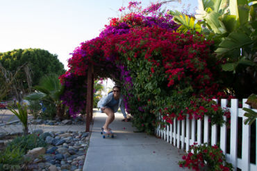 Someone did a really nice gardening job here!