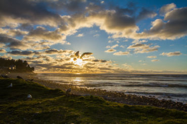 Sunset seagull in Seaside, OR.