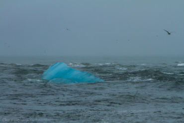 Lots of icebergs like this floating in the sea make a surreal landscape.