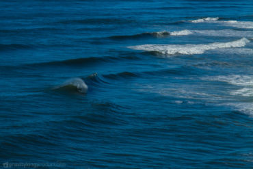 Wavegarden, pick your spot. Praia do Norte, Nazaré, Portugal.