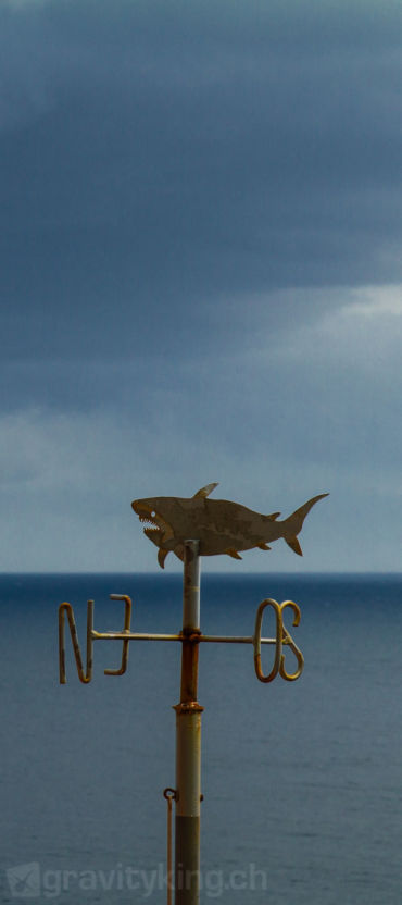 The windshark.